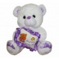 Urso de Pelúcia Com Travesseiro Happy Every Day